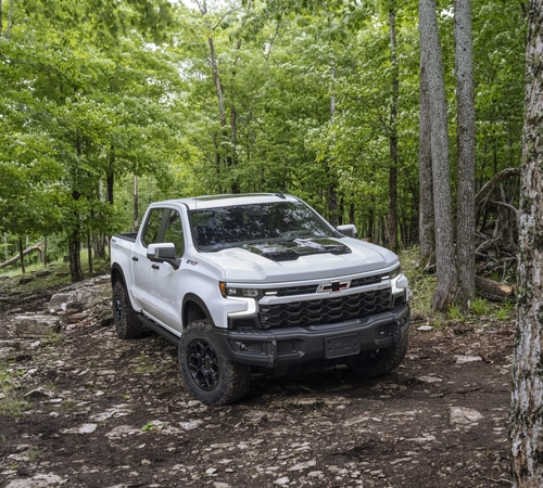 White Chevrolet Silverado truck on a rugged forest trail surrounded by lush green trees.