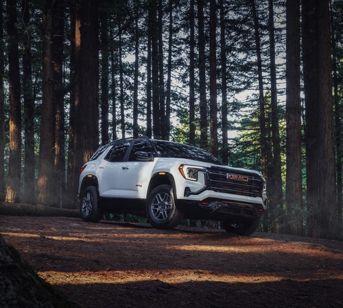 White SUV parked in a forest, surrounded by tall trees and soft sunlight filtering through.